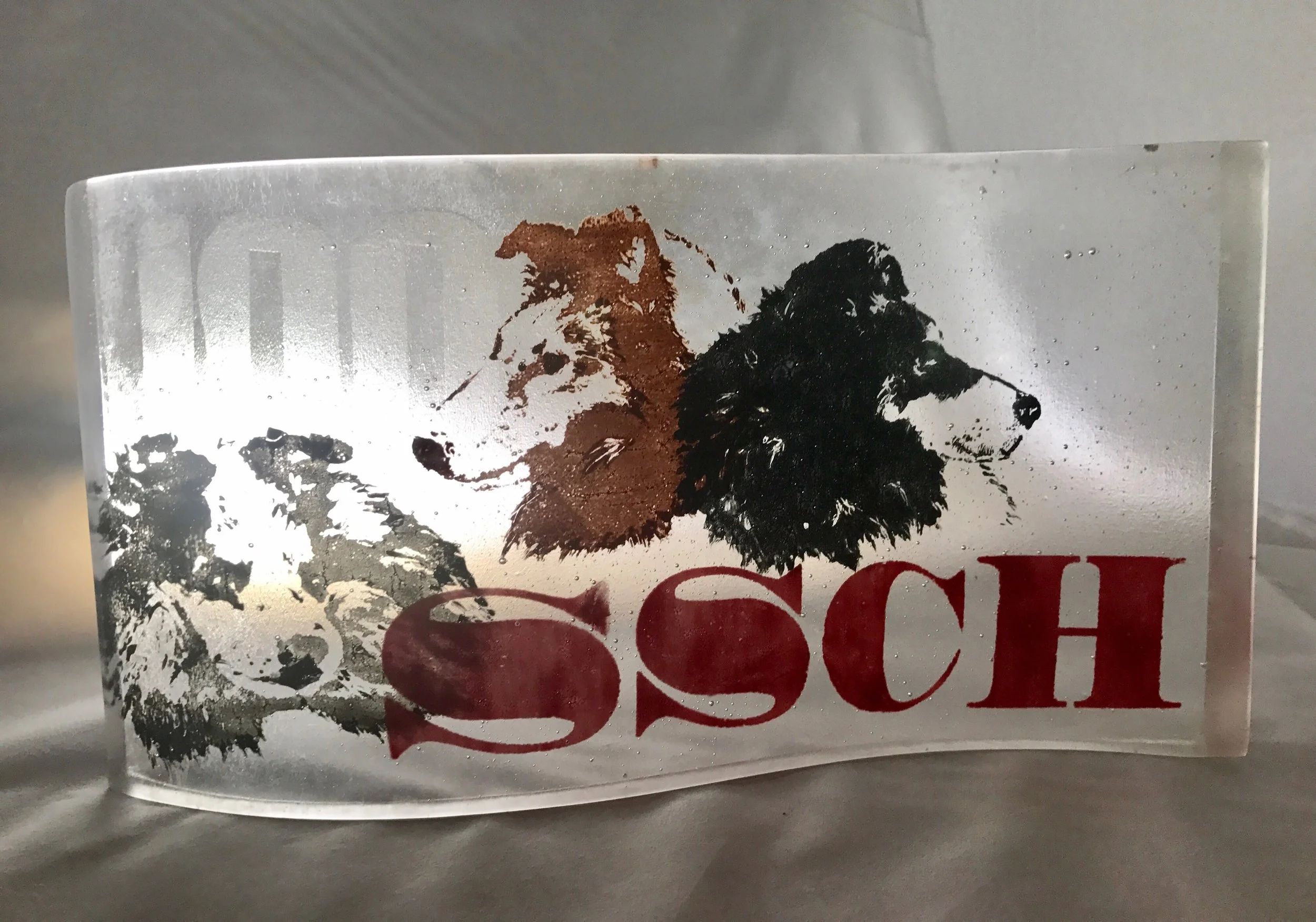 SSCH 100 BOB Trophy.jpg