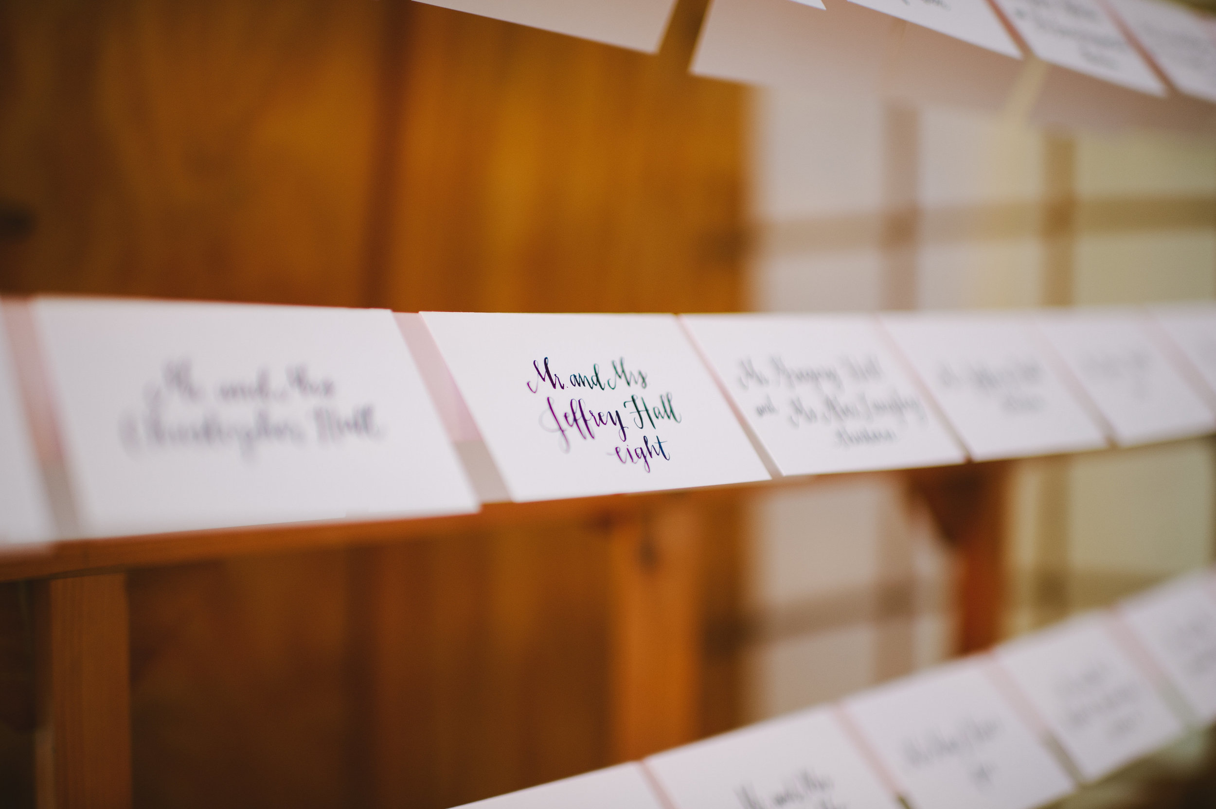 Meg and Chris are Married-Reception-0003.jpg