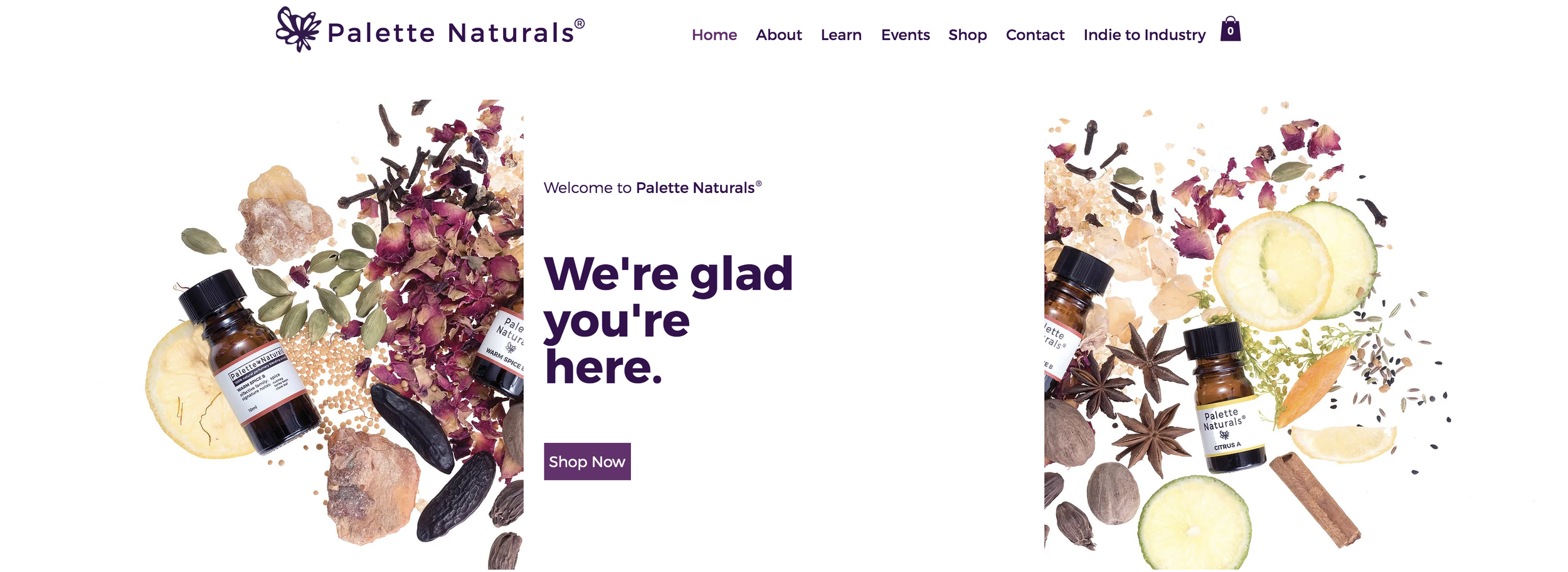 Web Design // built from scratch on WIX following brand guidelines. This site branches out from a standard blending accord site being modern and easy to navigate for all. Click here to view in person!