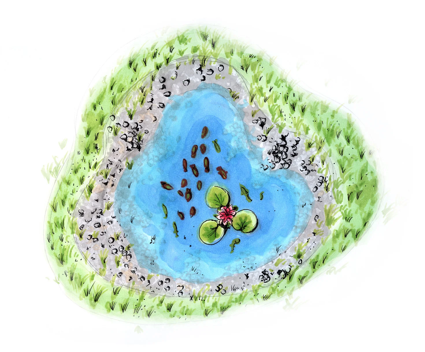 Digital Rock Pool concept