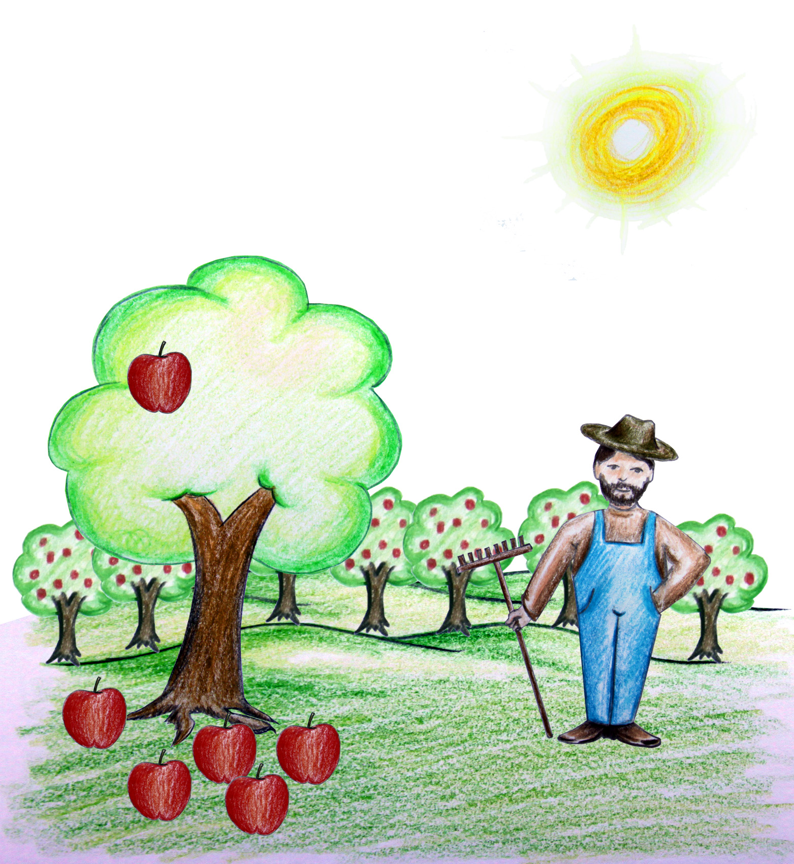 orchard.jpg