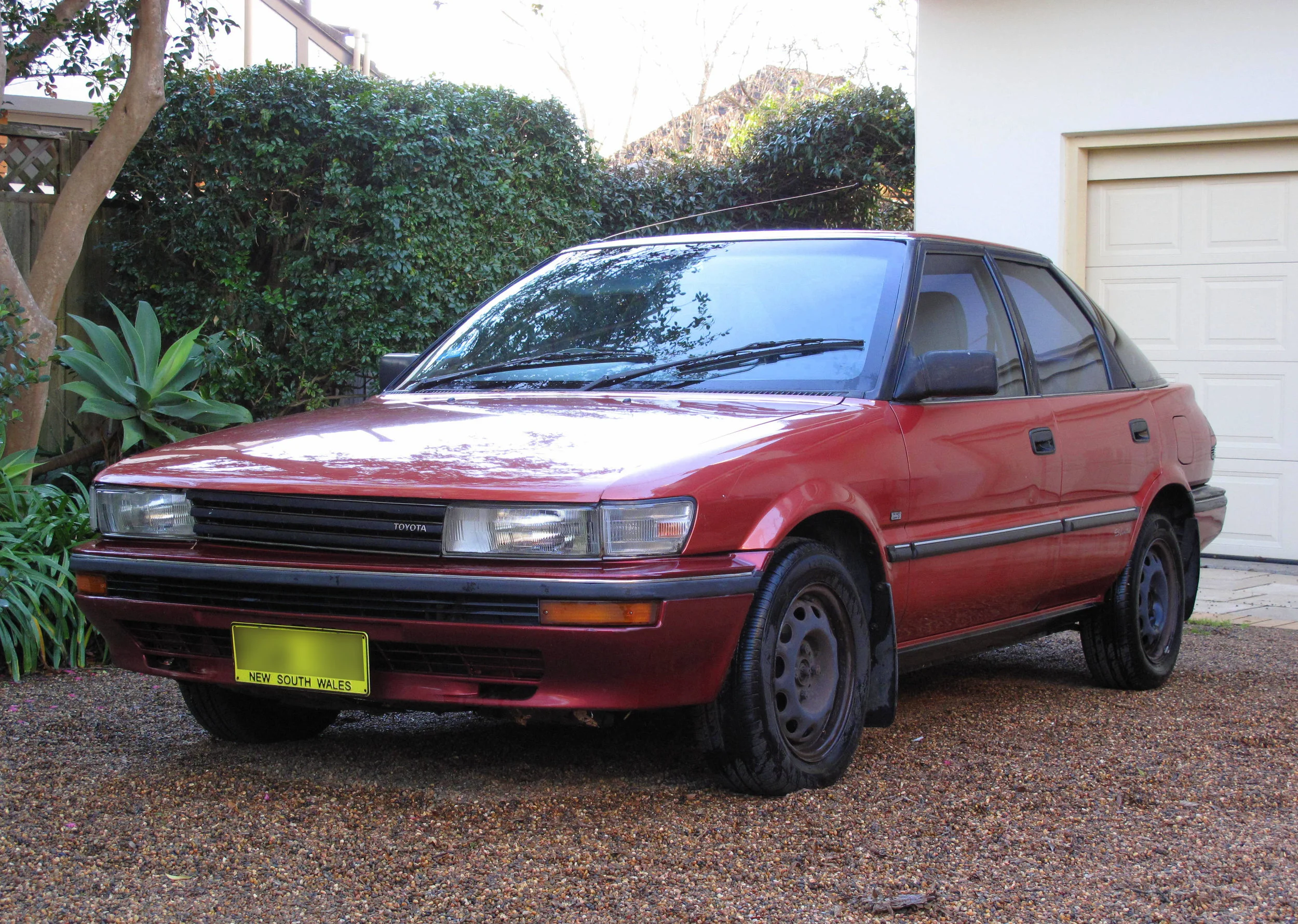 Toyota 1.jpg