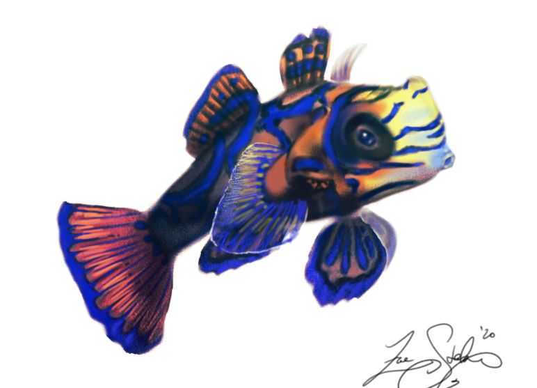  A gift for my mom, of her favorite fish. 