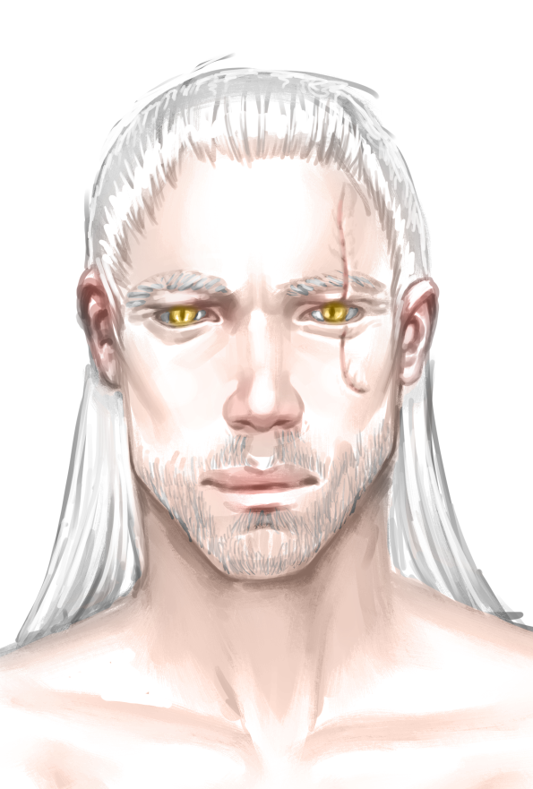 Geralt of Rivia, from the Witcher 3 game/Netflix series