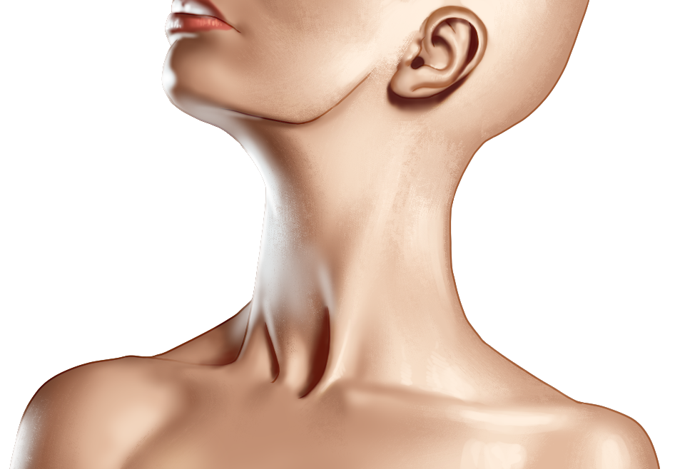 neck1 external.png