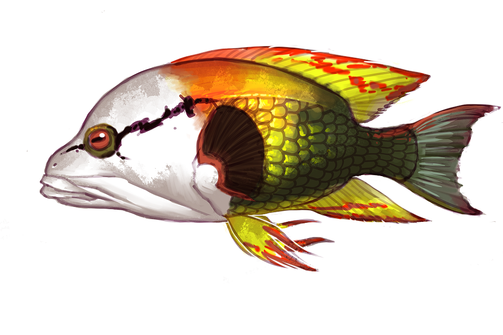 slingjawwrasse_small.png