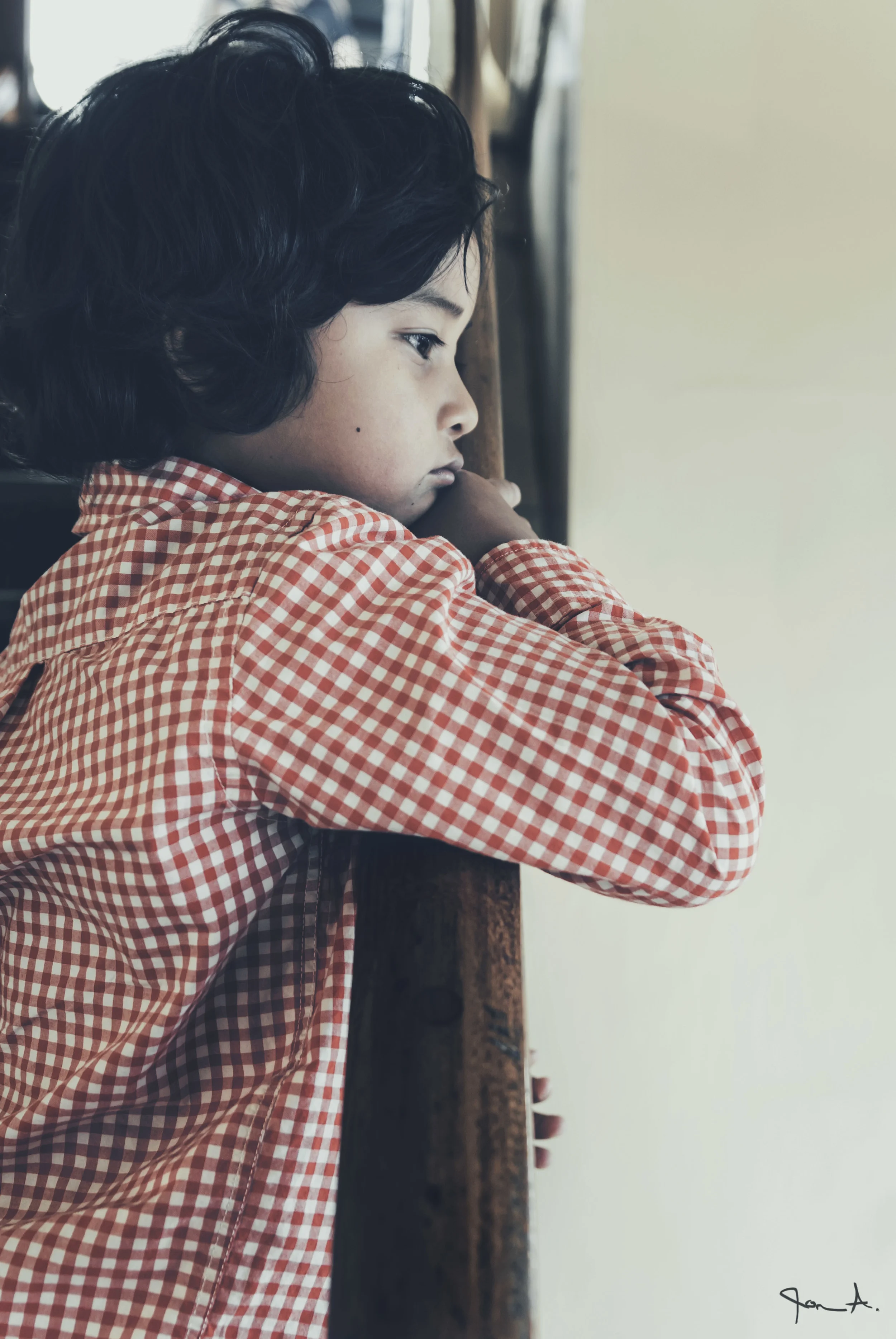 the life of the mind