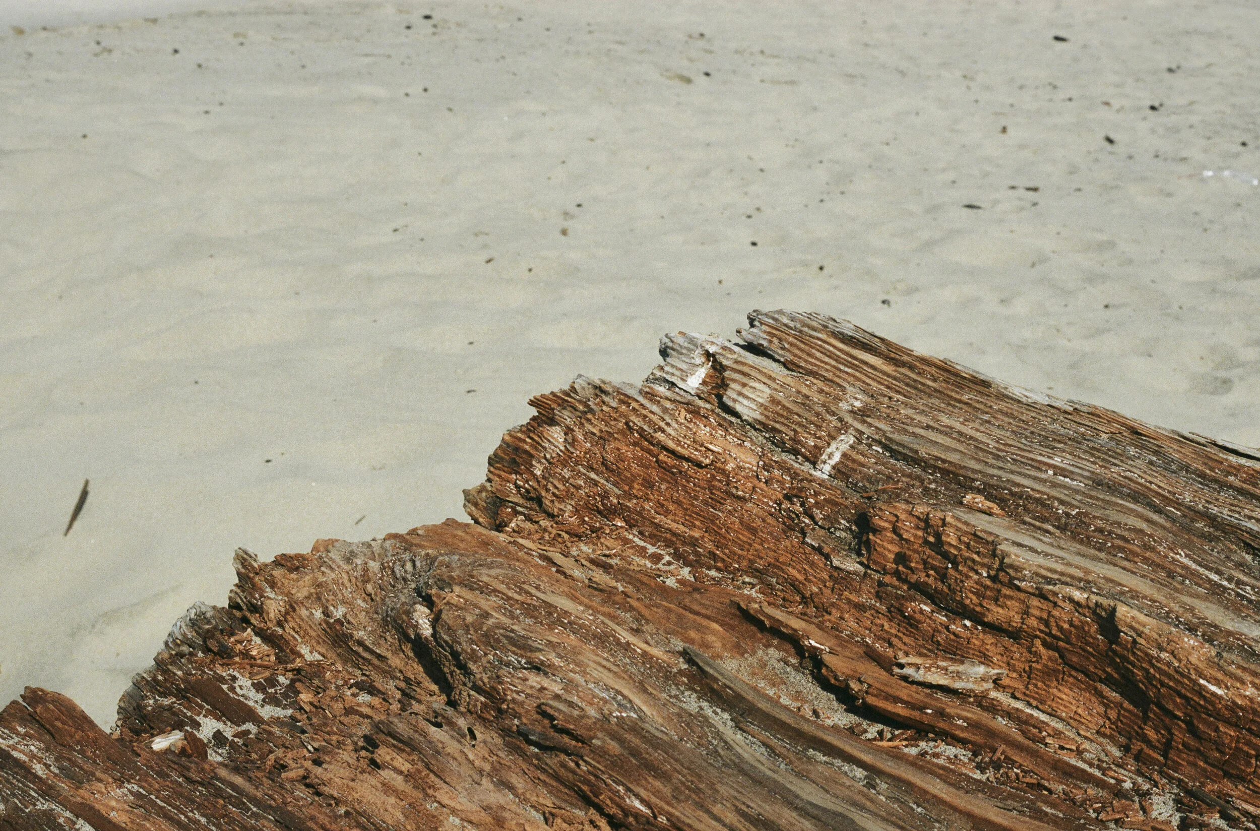 PACIFIC CITY BEACH 2.jpg