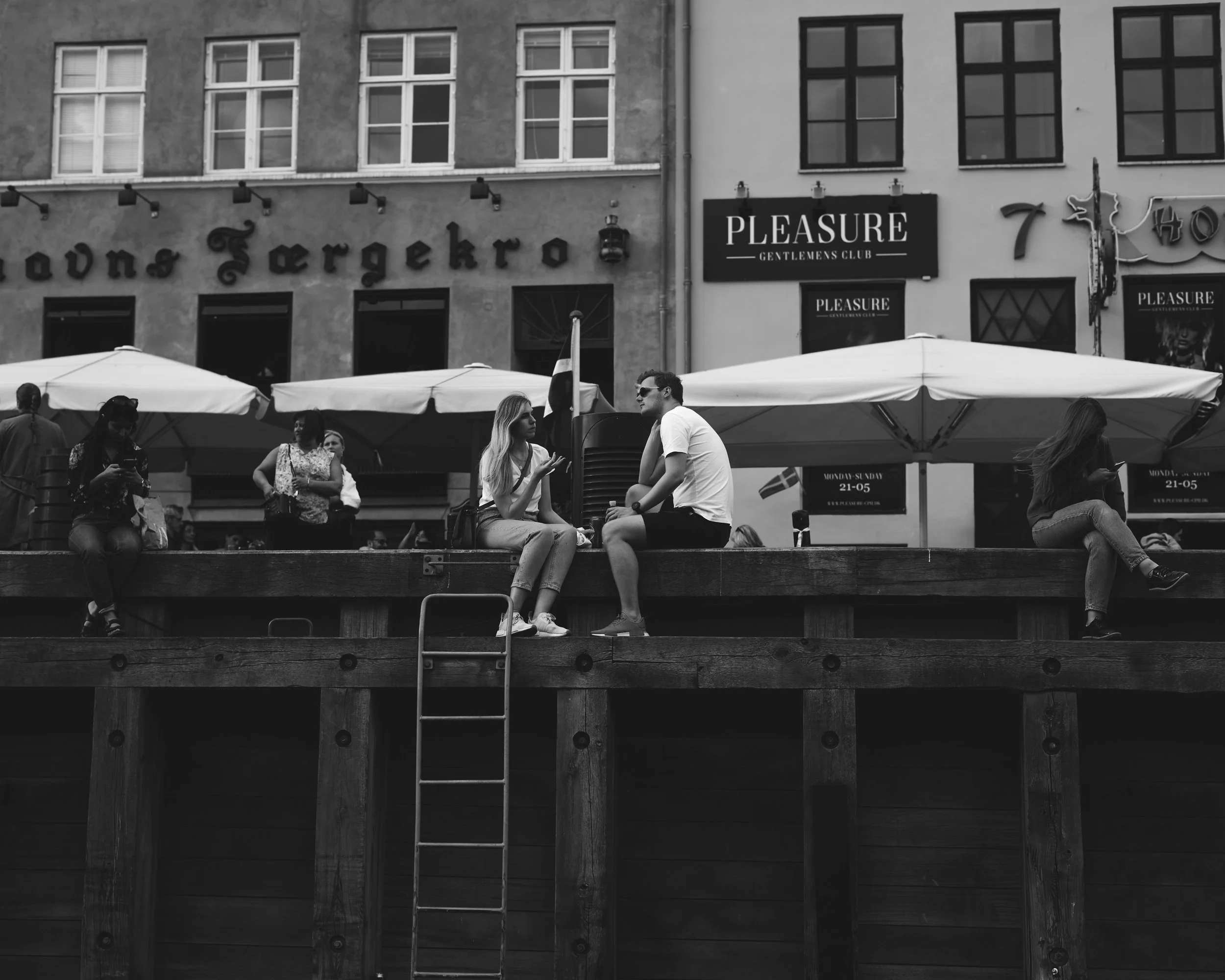 Denmark Pleasures.jpg