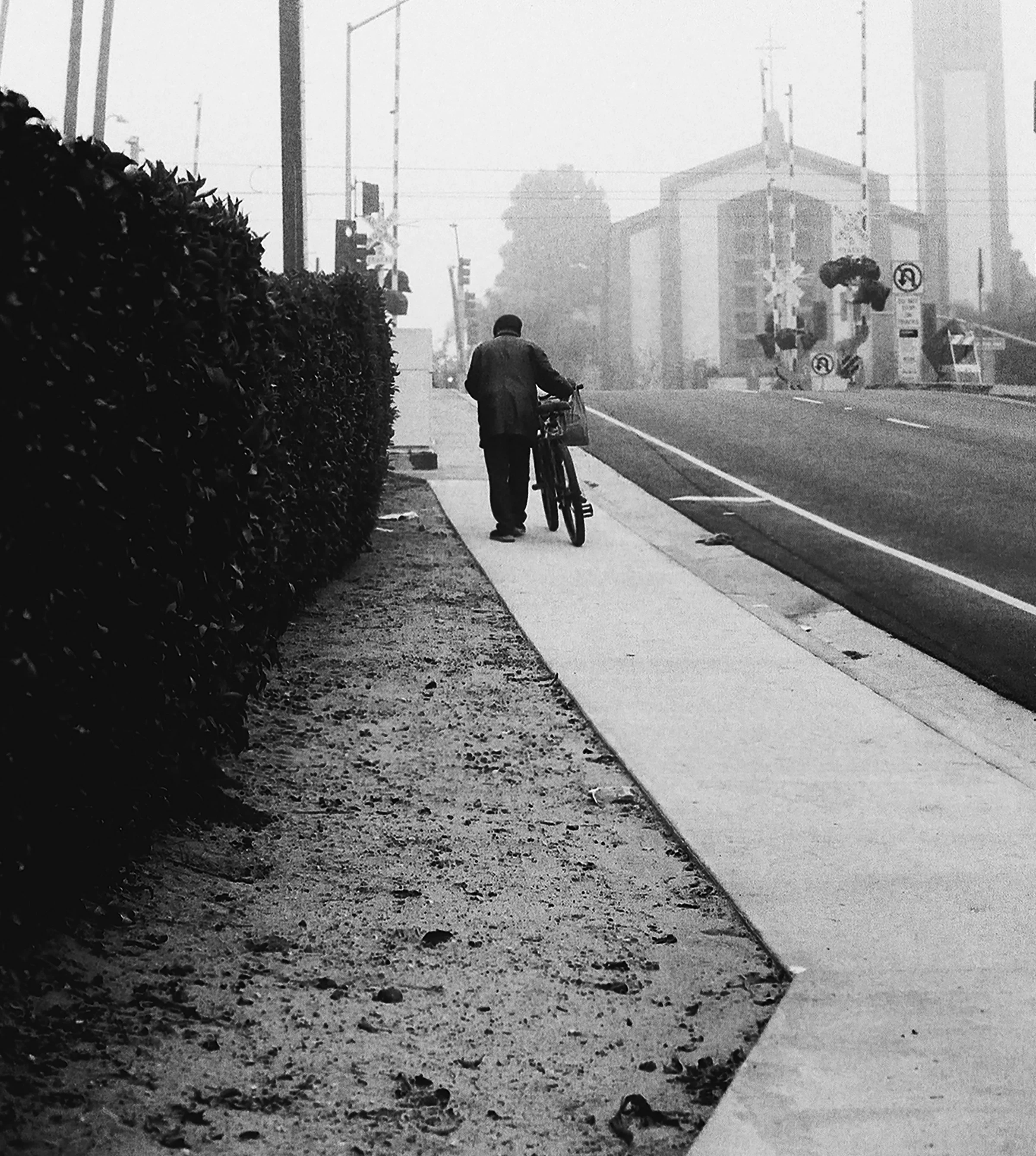 Inglewood Future.jpg