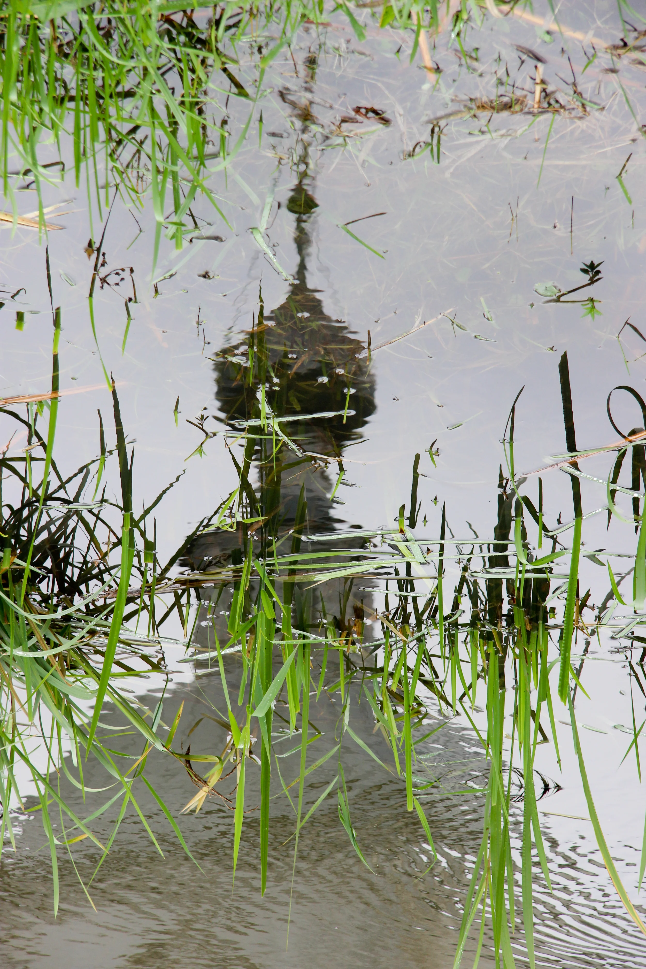 Kamenka River
