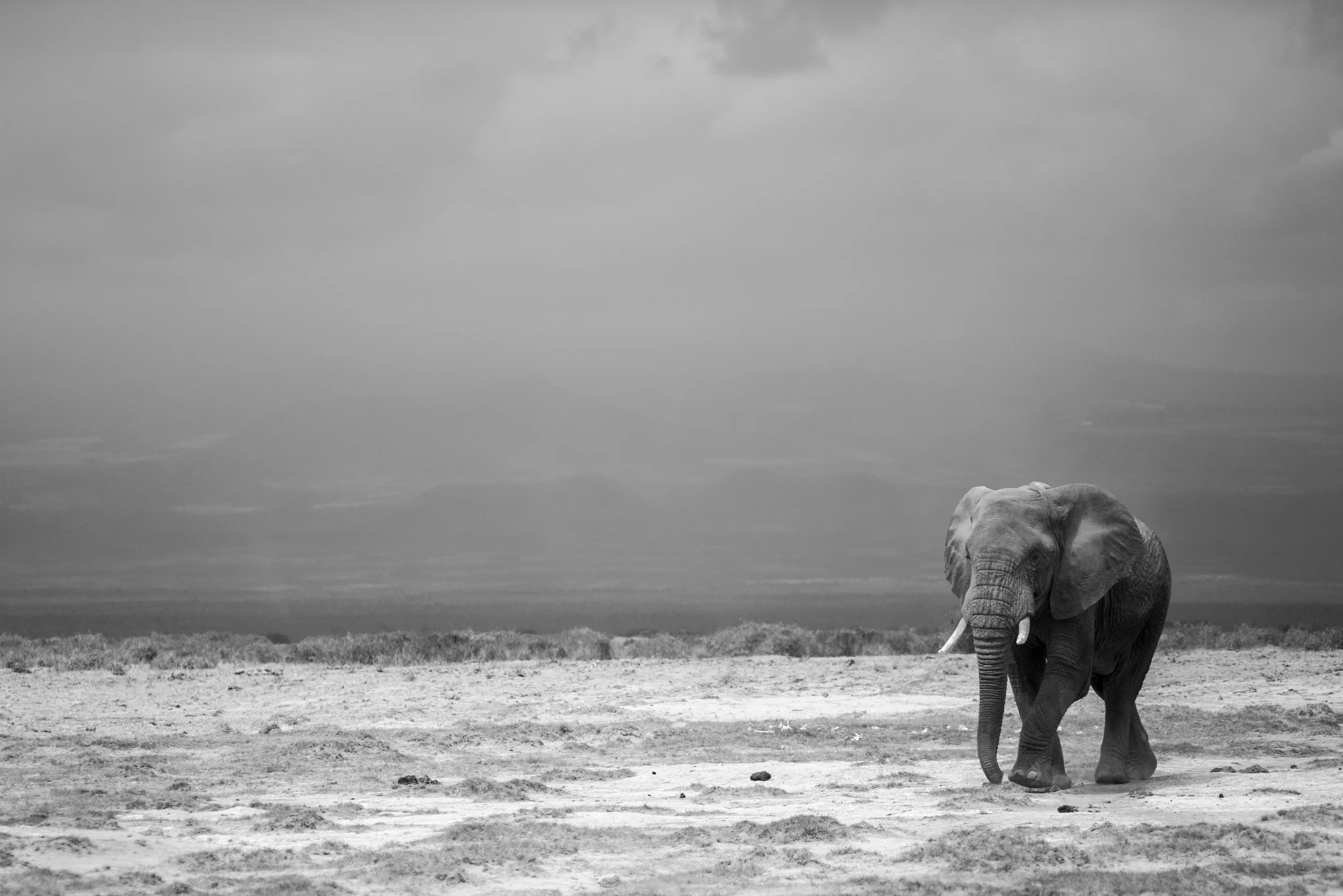 untitled-1410.jpg