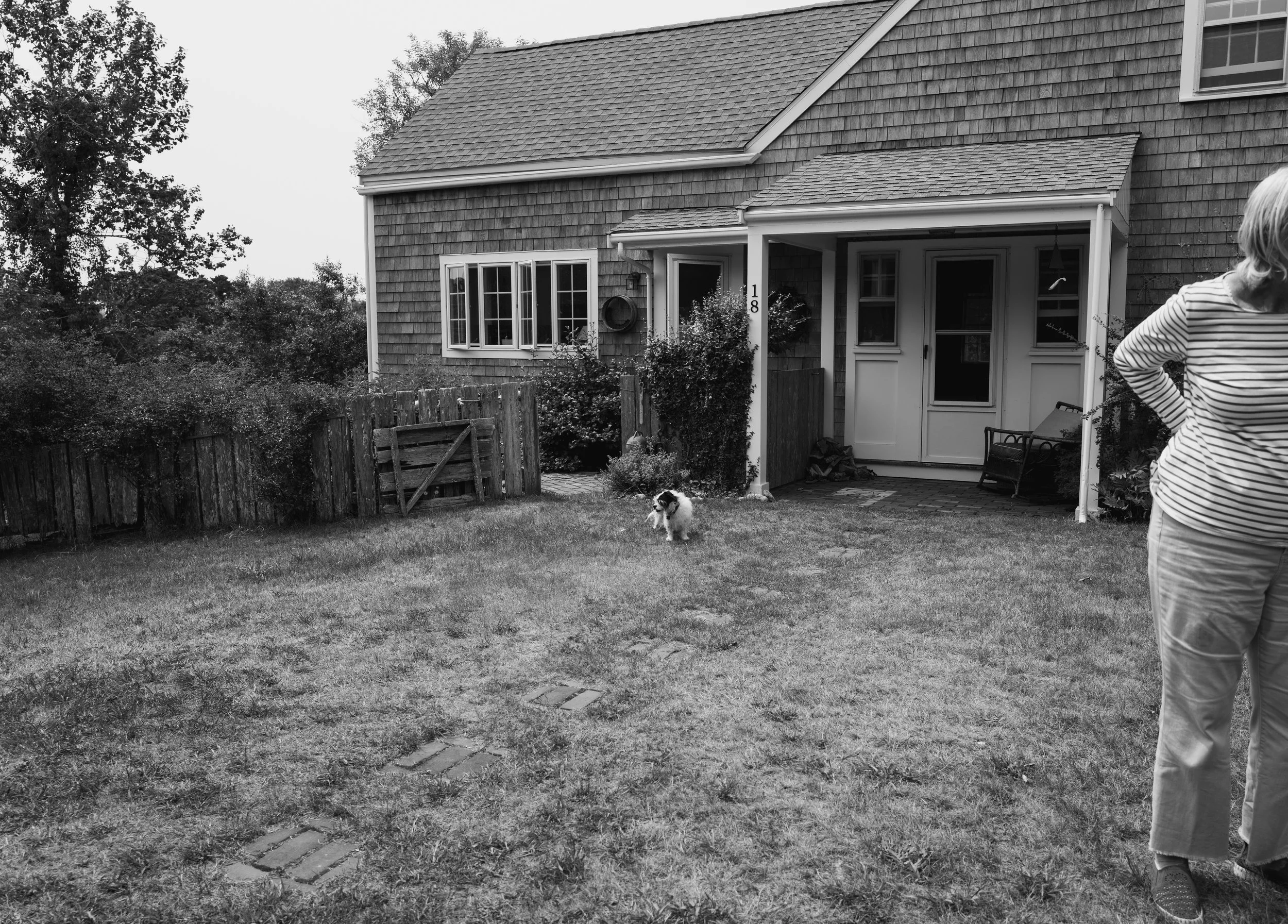 Janny's House, Chappy, 2025