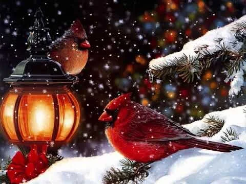 Christmas Letter 2017