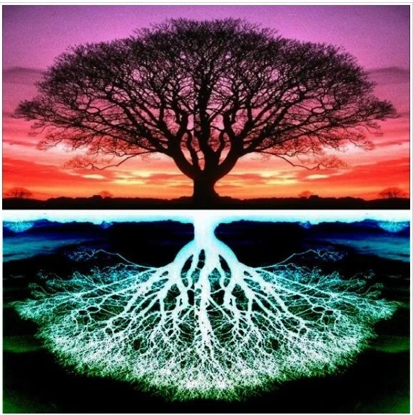 ¿QUE HACER CON TU VIDA?