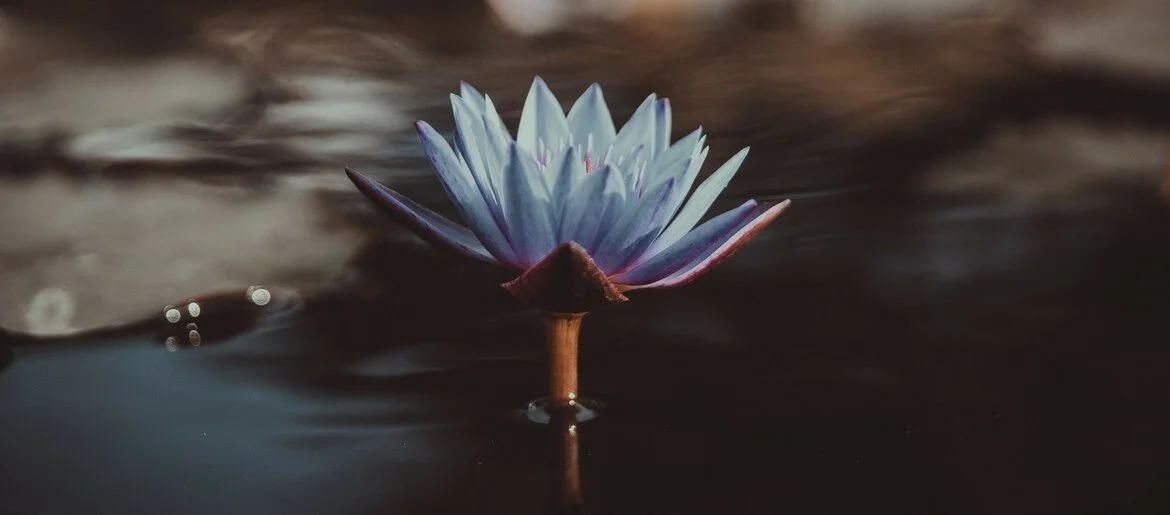 Clase 64 RESPONSABILIDAD EMOCIONAL