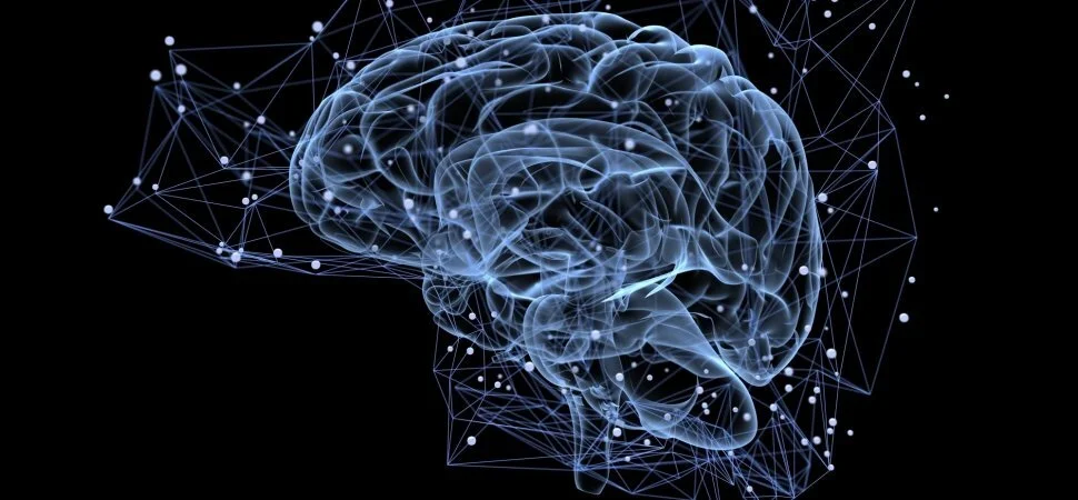 Clase 4 EMOCIONES Y ESTRATEGIAS