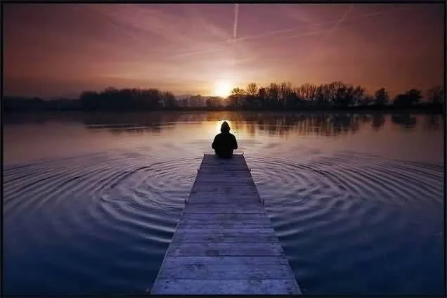 Clase 242R AUTO-DOMINO