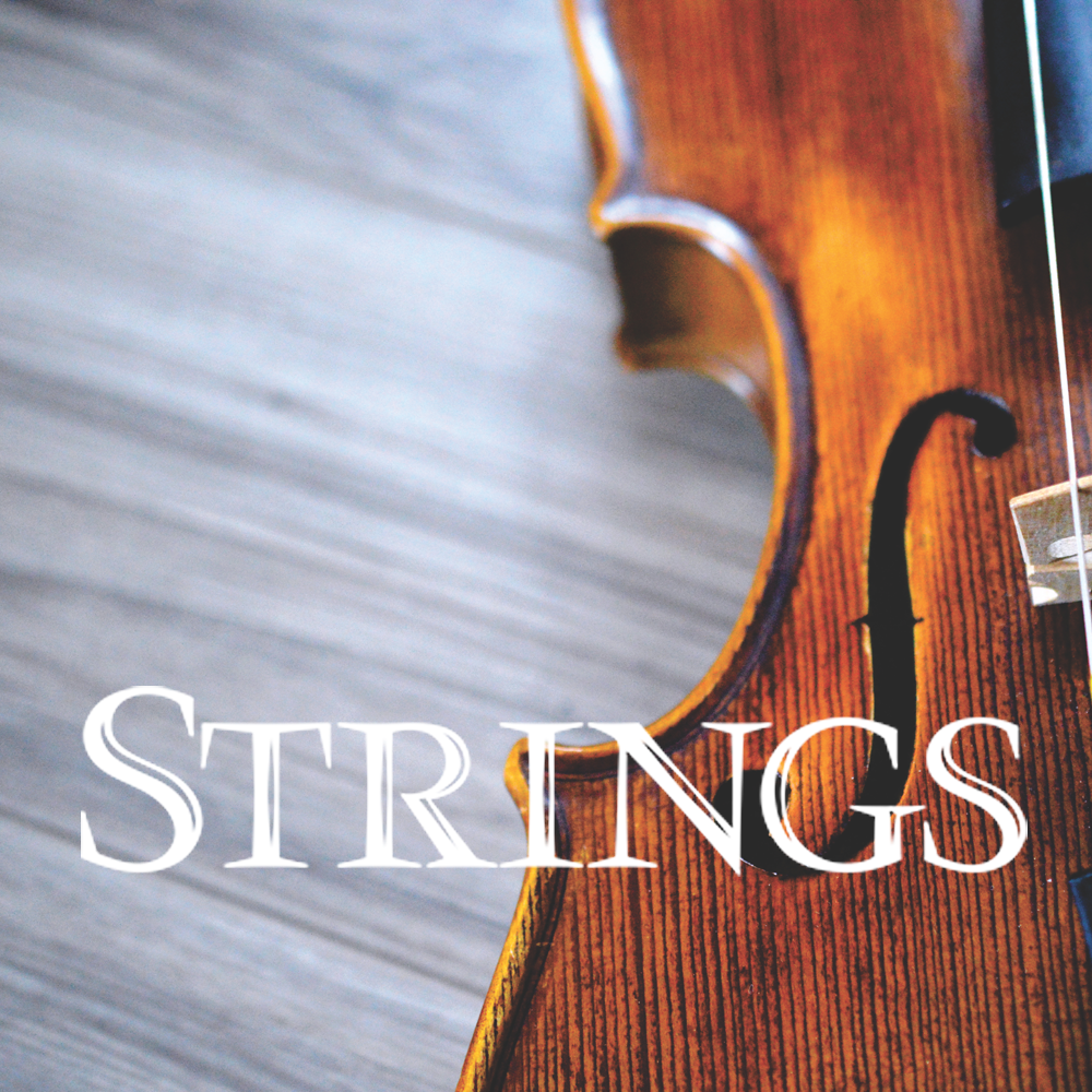 Strings (2016)