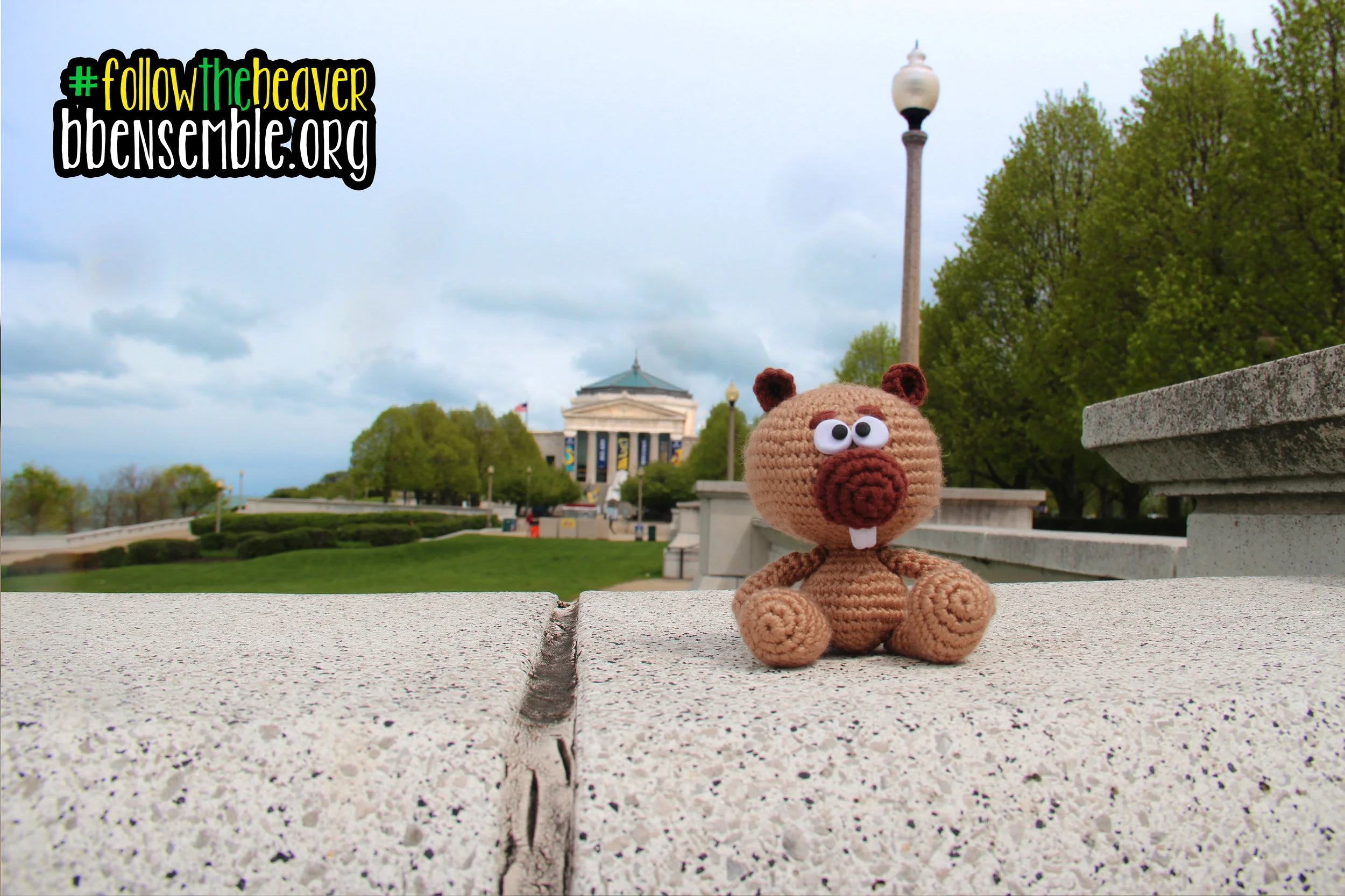 Day 6: Shedd Aquarium