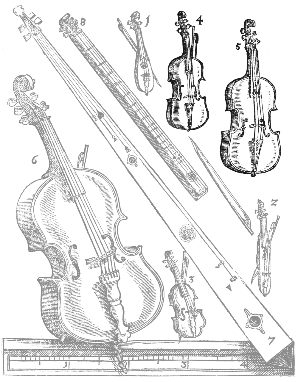 The Violin Family
