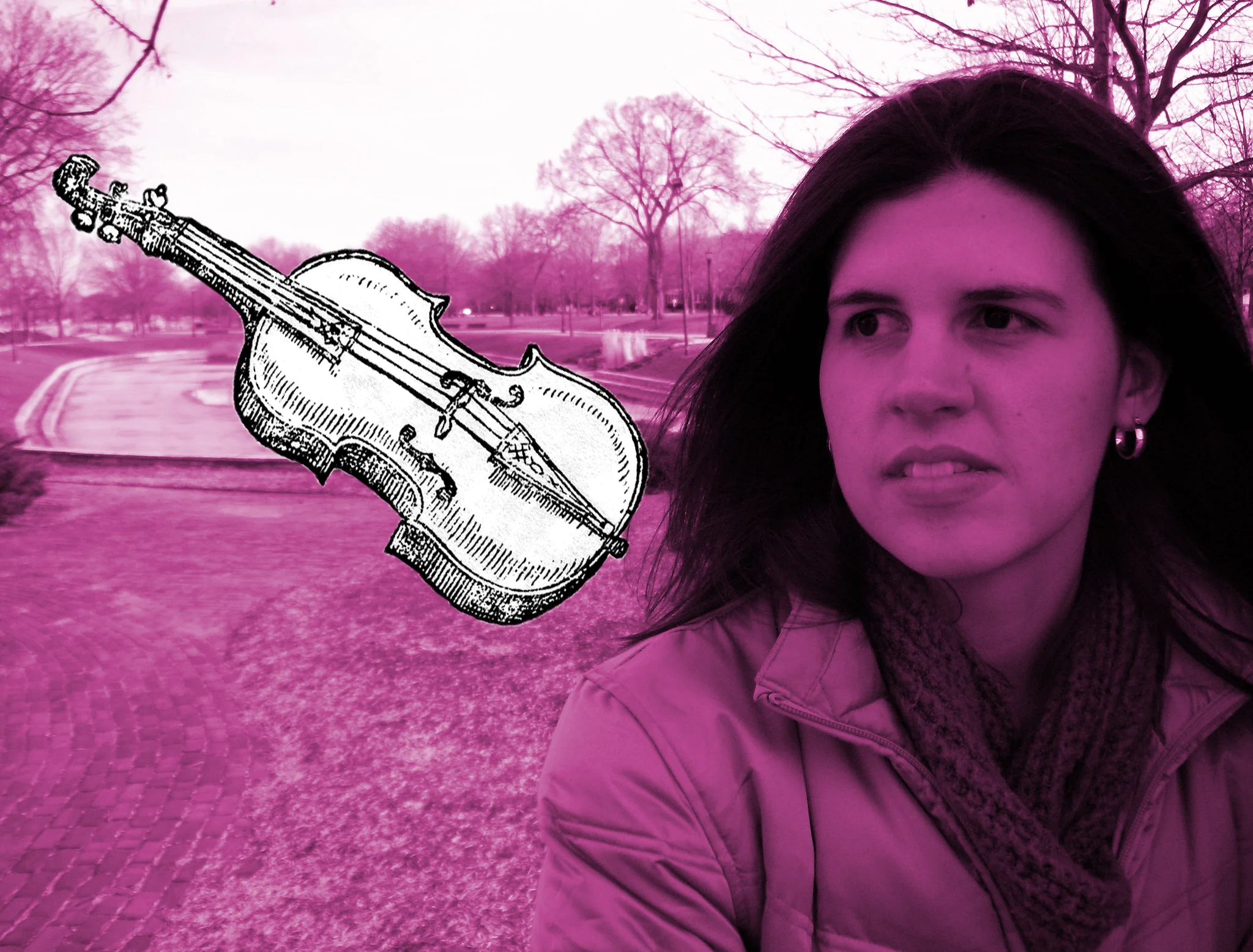 The Versatile Violin