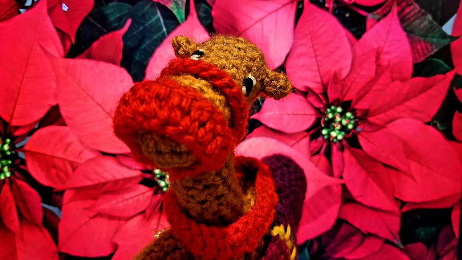 Why Christmas Carols Made Me Love Christmas Again