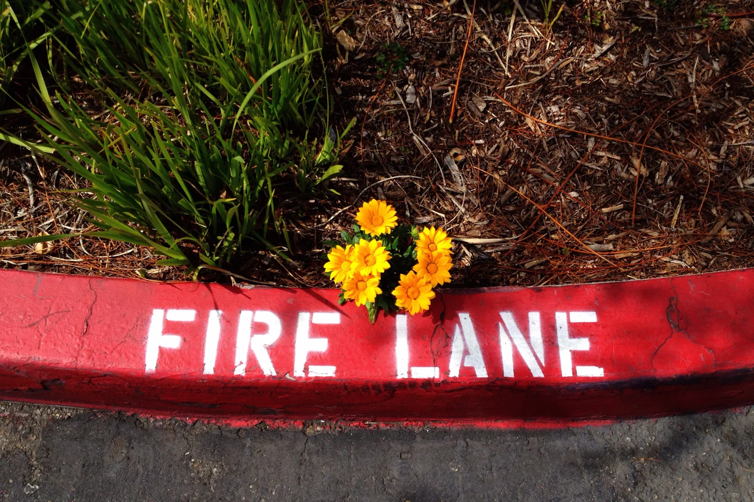 Fire Lane Reduced.jpg