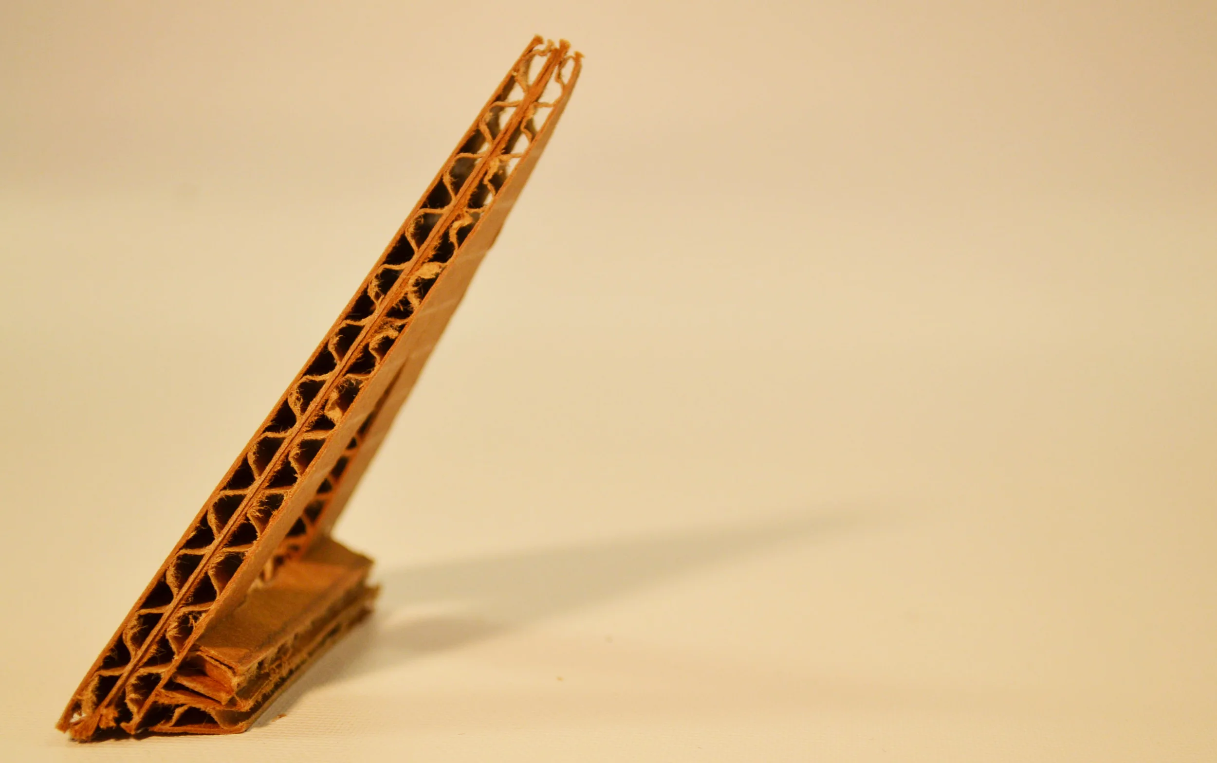 Design_1_Bahia_Process (2).jpg