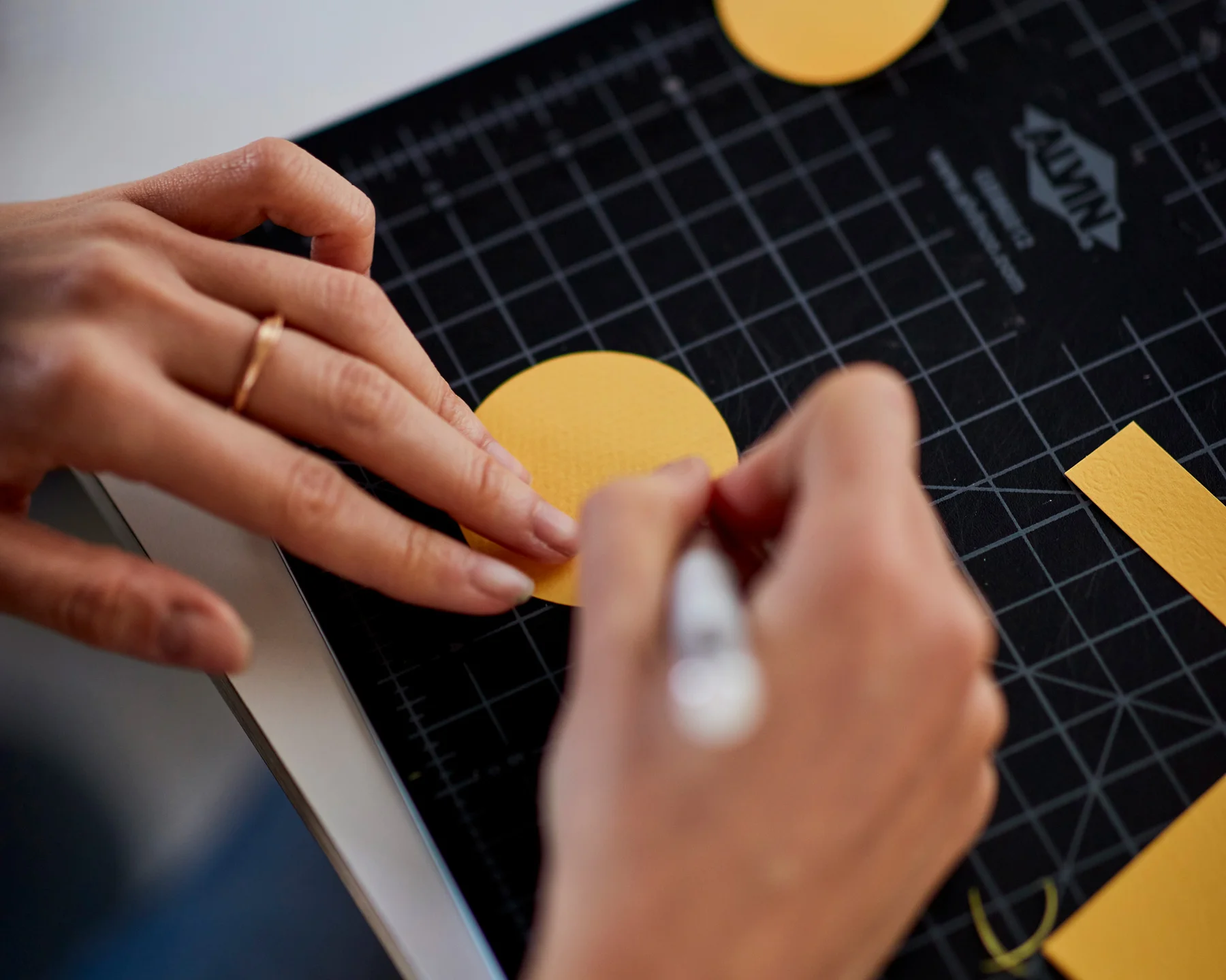 Cutting out shapes for Ueno shoot