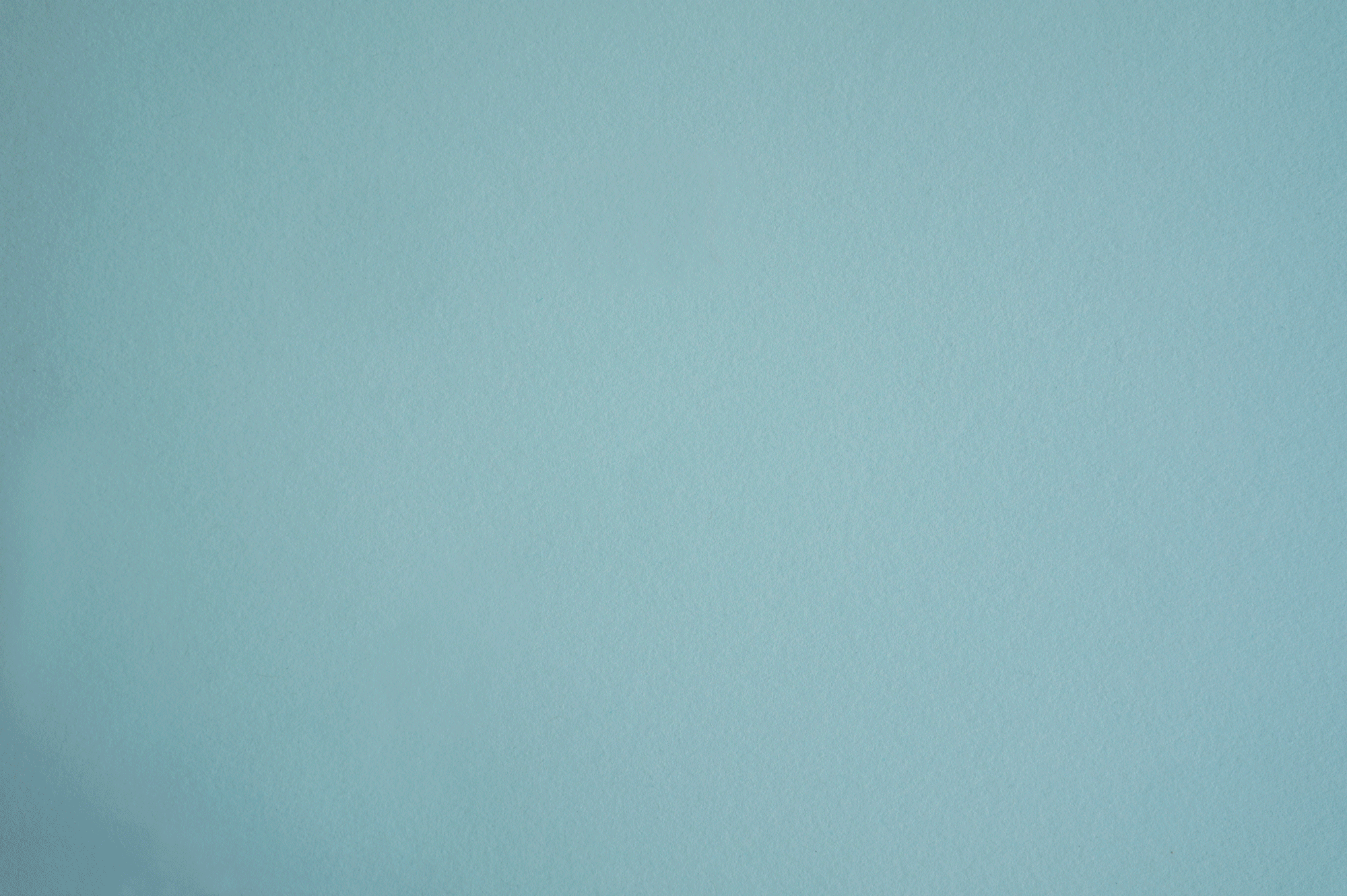 Animation of paper bee coming together