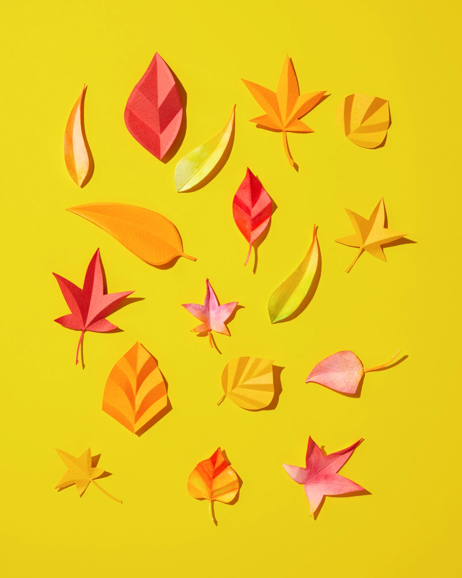 Paper leaves in autumn colors