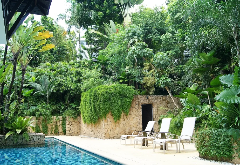 Located at the corner of Merryn Road, the property sits snuggly between its neighbours. Surrounded by large mature trees, the landscape upgrading incorporated different layers of plants and textures to soften the slopes and boundaries, creating a personalized spaced for the owners to enjoy.