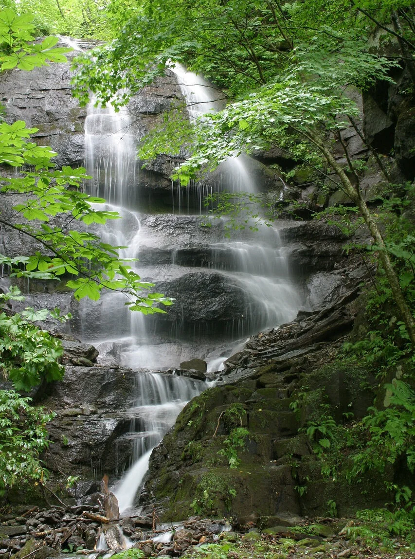 Energiefluss stärken