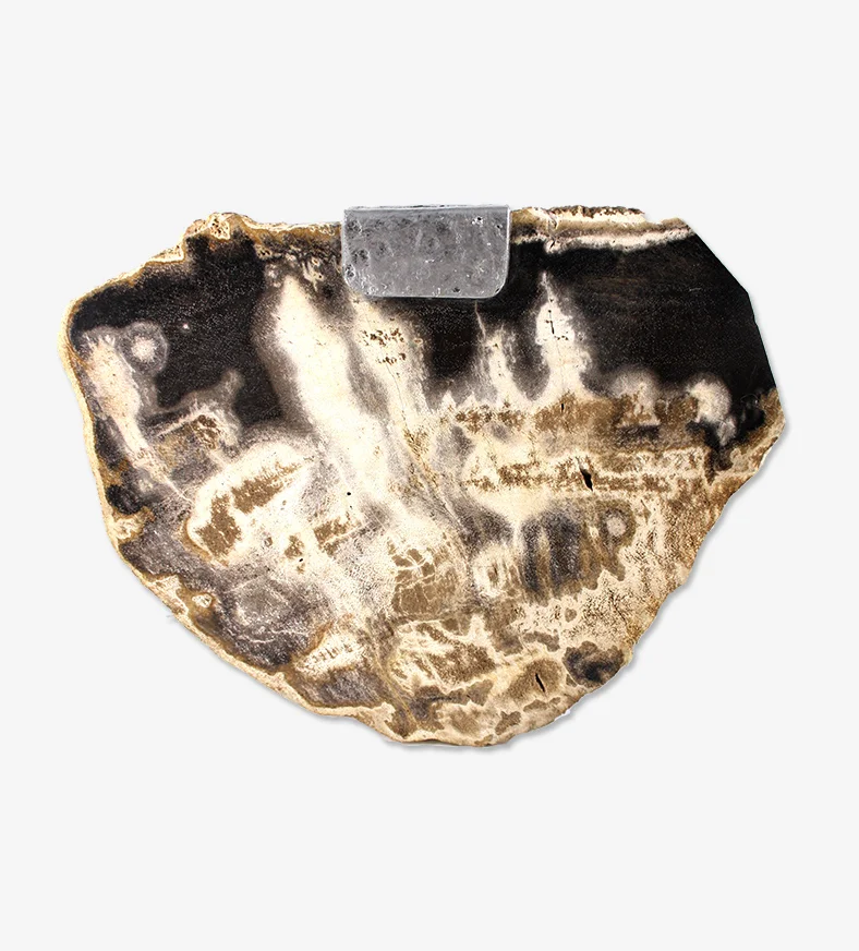 Petrified Wood Box 1.2.jpg