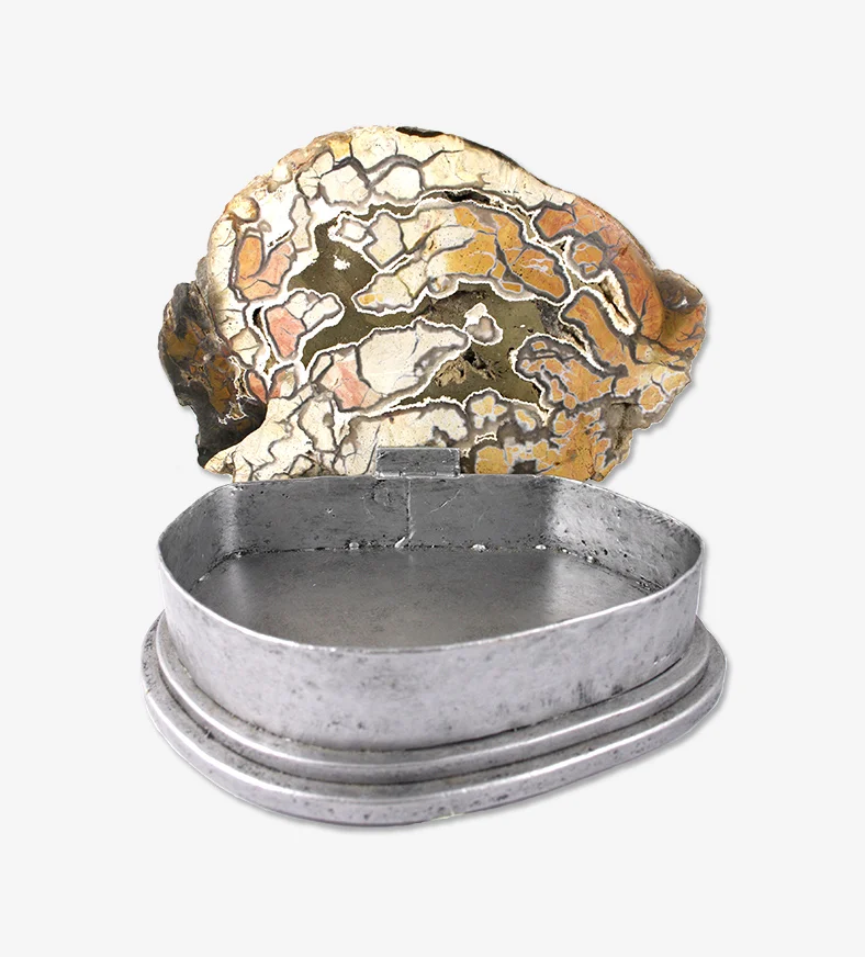 Caramel and Olive Tone PETRIFIED WOOD and Pewter Box