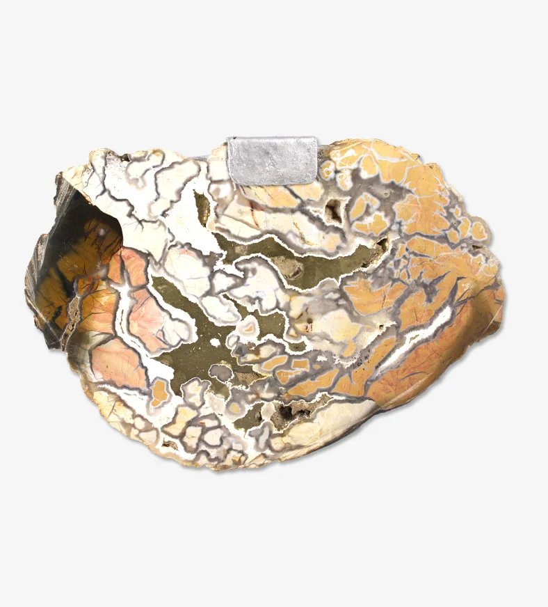 Petrified Wood Box 3.3.jpg