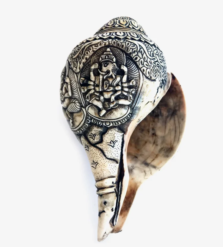 GANESHA CONCH BACK.jpg