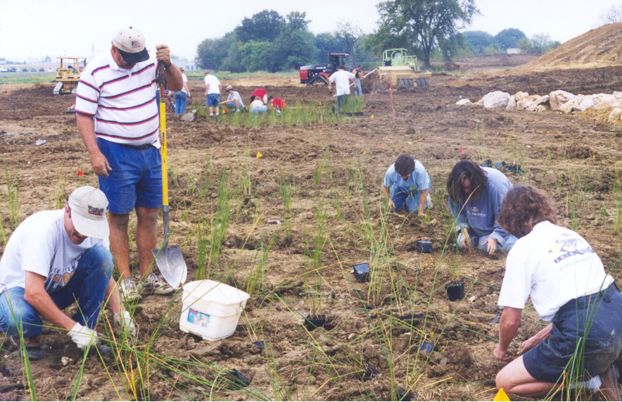 Volunteer Planting Day – Santo Domingo Wetland