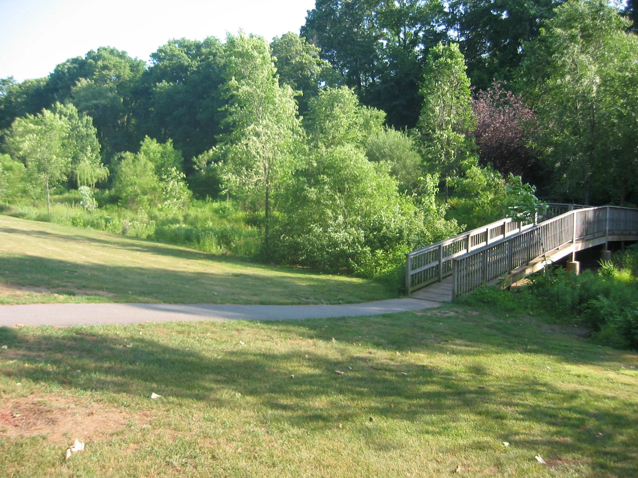 Wetland and Habitat Area – to improve water quality