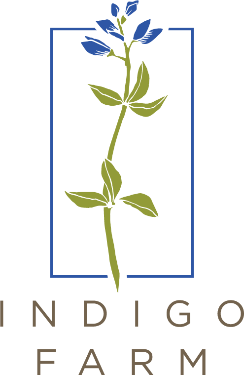 IF_logo_4COLOR.png