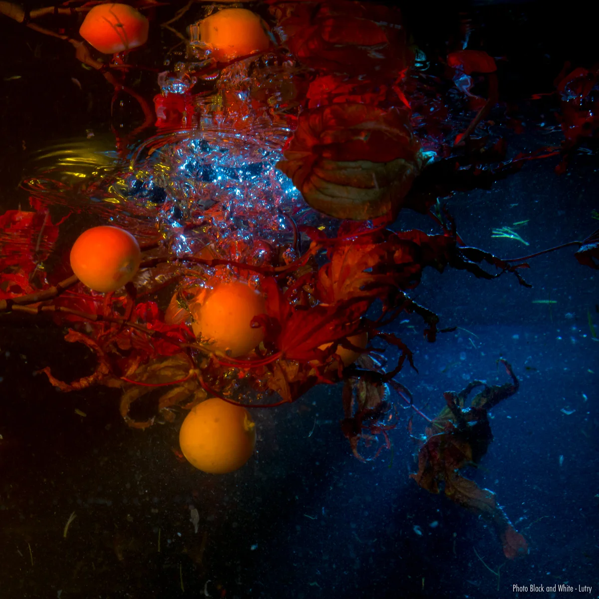 IO0A2167-Modifier.jpg