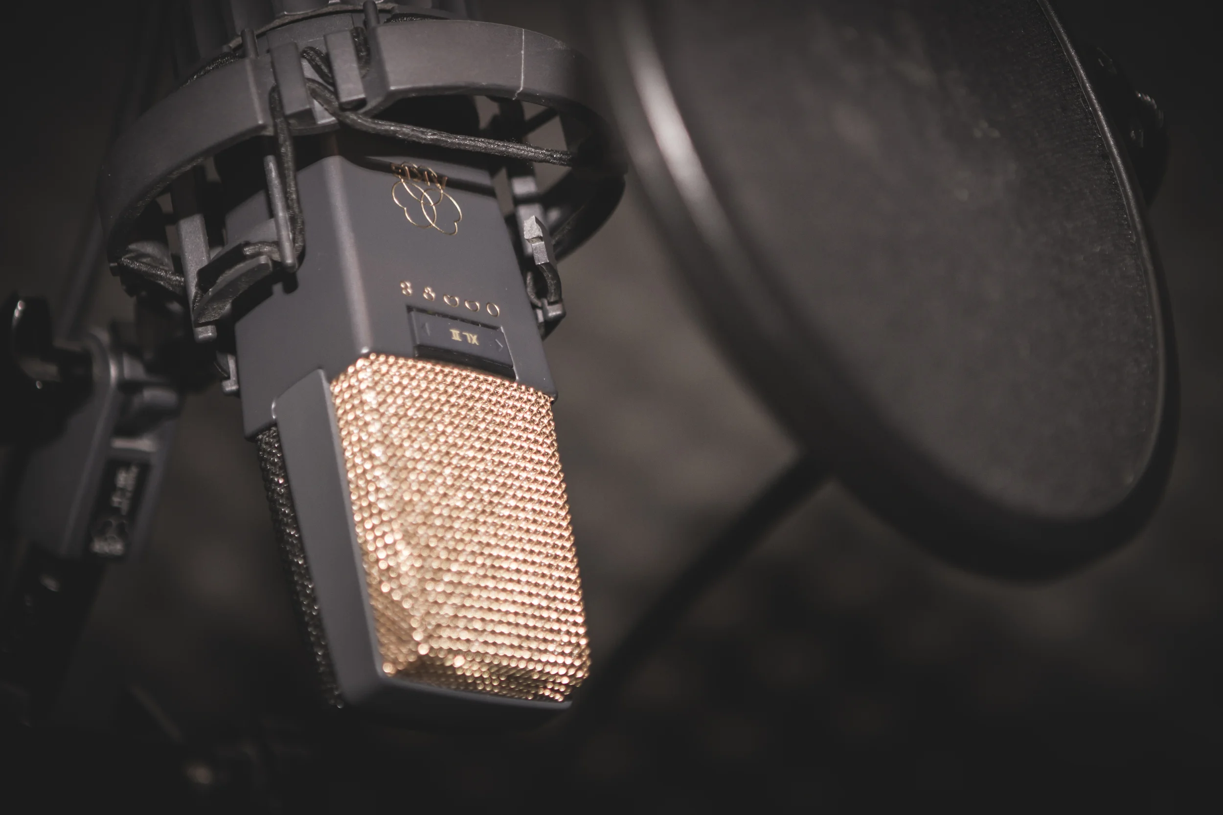 mic edited.jpg