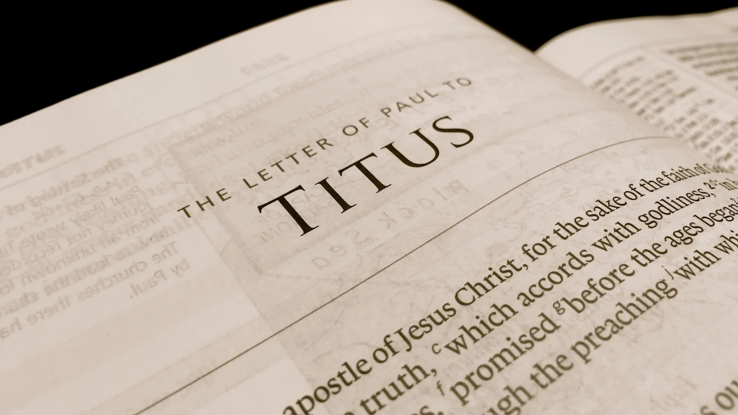 Titus.jpg