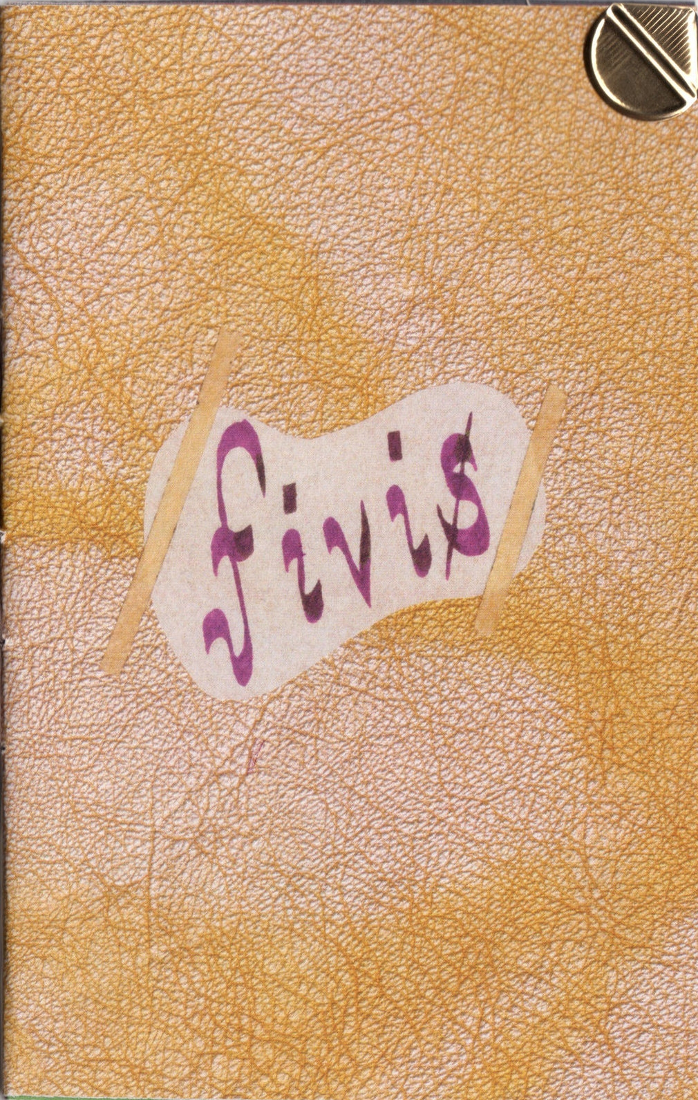 scans fivis 4.jpeg