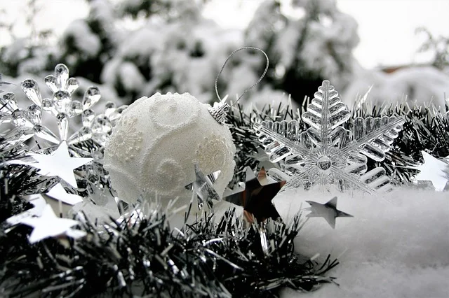 winter-3008975_640.jpg