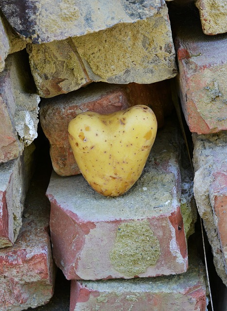 heart-1625830_640.jpg