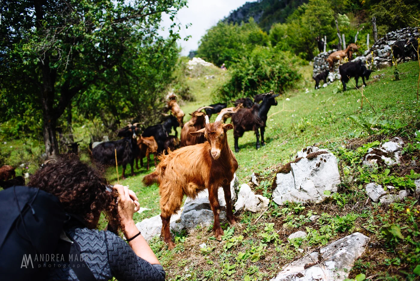 20160812-andreamabry-albania-043-2721-2.jpg