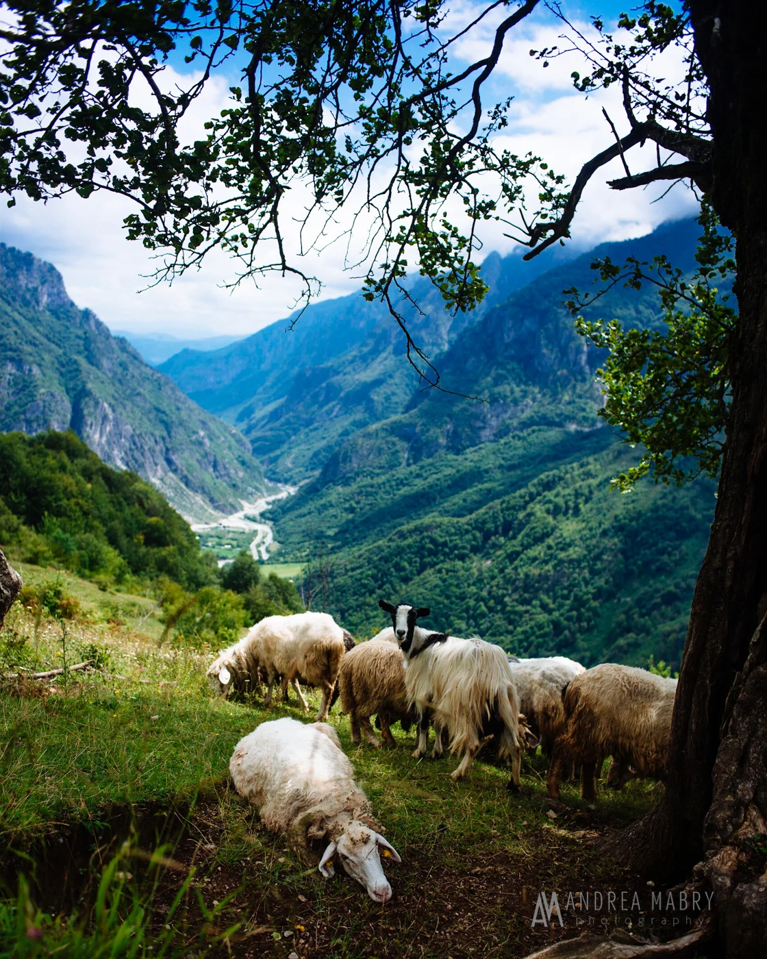 20160812-andreamabry-albania-045-2756.jpg