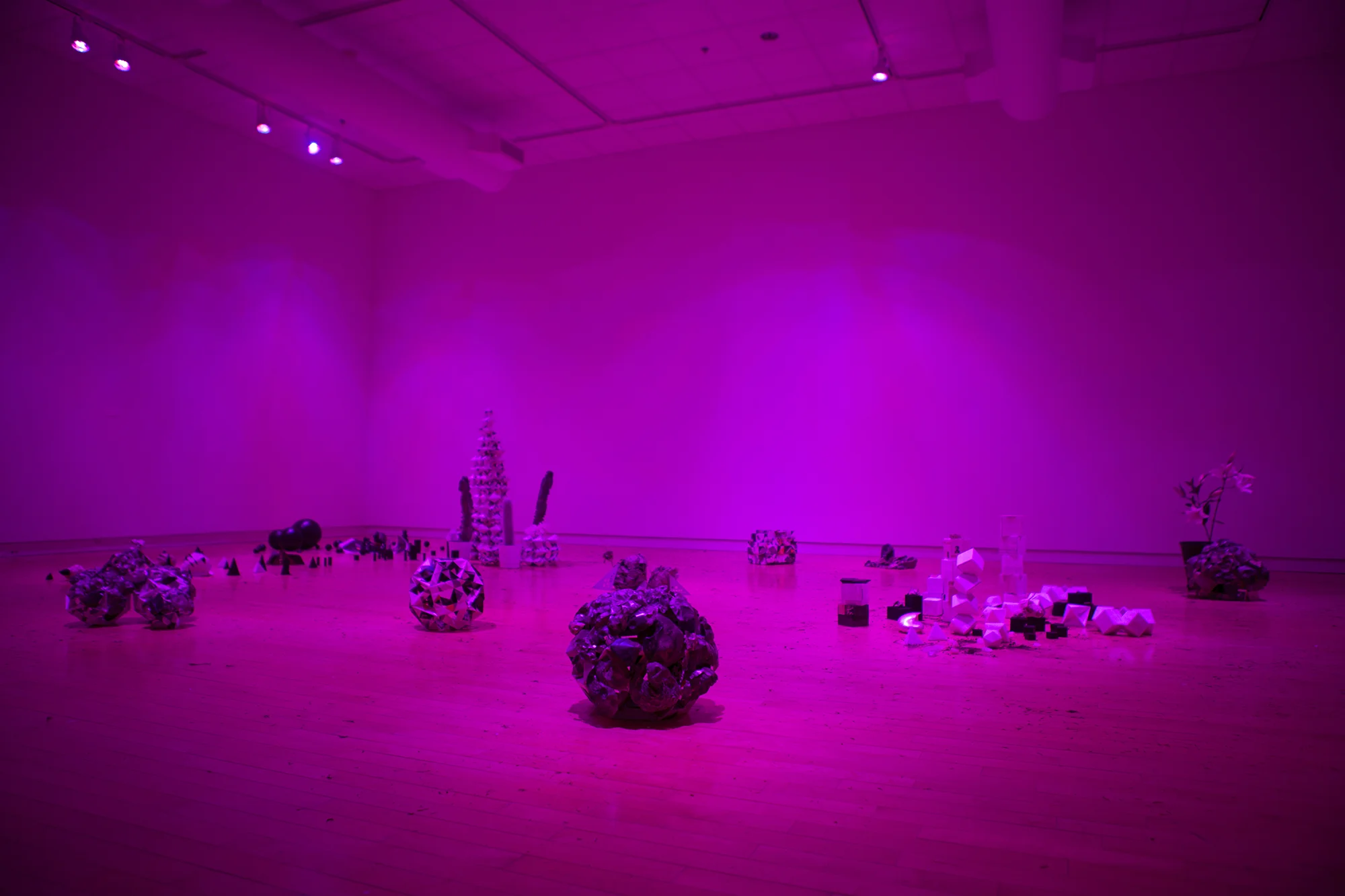 installation view